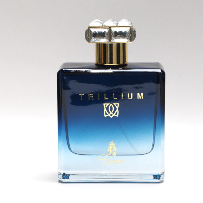 [Arabian] Emir Trillium Perfume 100ml by Paris Corner For Men (Lelaki), Minyak Wangi - Image 2