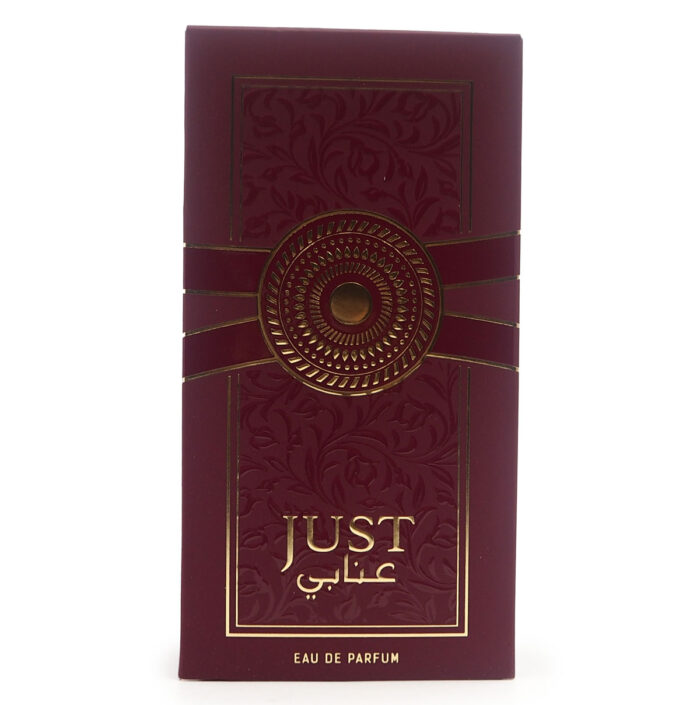 JUST ANABI 100ML EDP Perfume By Fragrance World ,Minyak Wangi Arab - Image 2