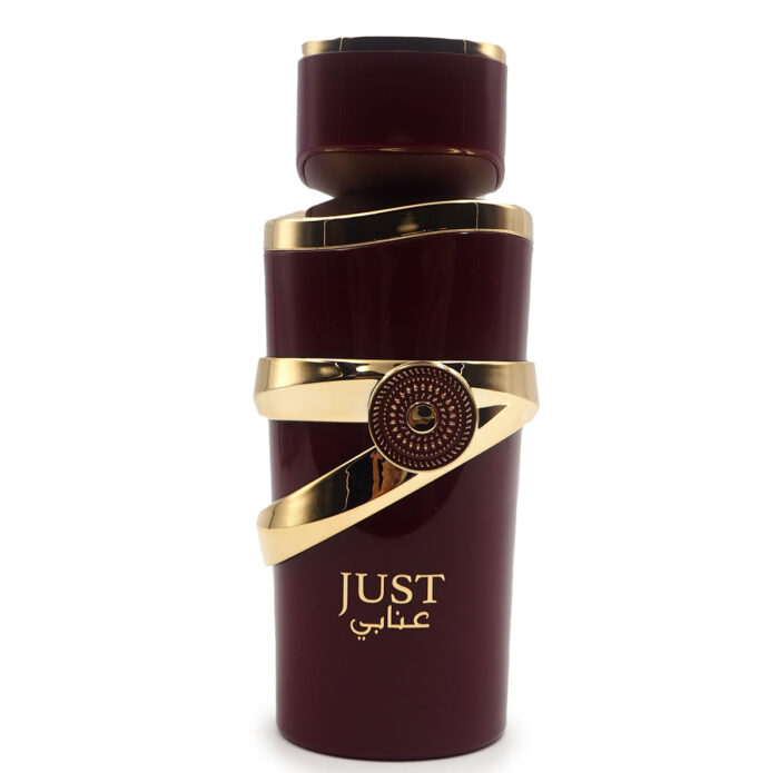 JUST ANABI 100ML EDP Perfume By Fragrance World ,Minyak Wangi Arab - Image 6